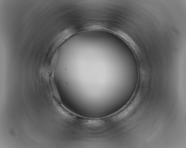 X0000112510857200908171332