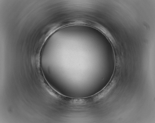 X0000112510858200908171332