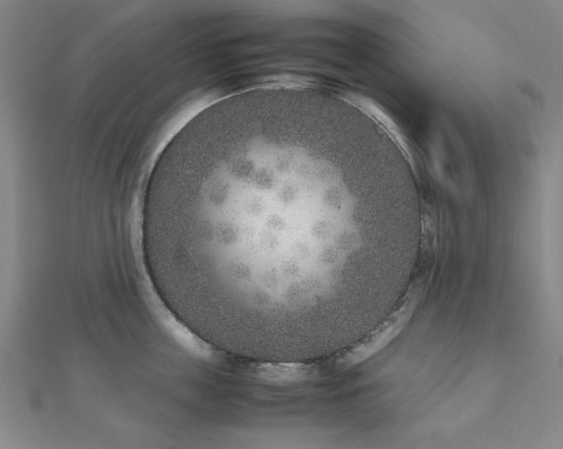 X0000112510859200908171332