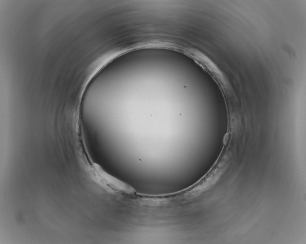 X0000112510860200908171332