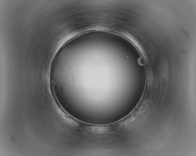 X0000112510861200908171332