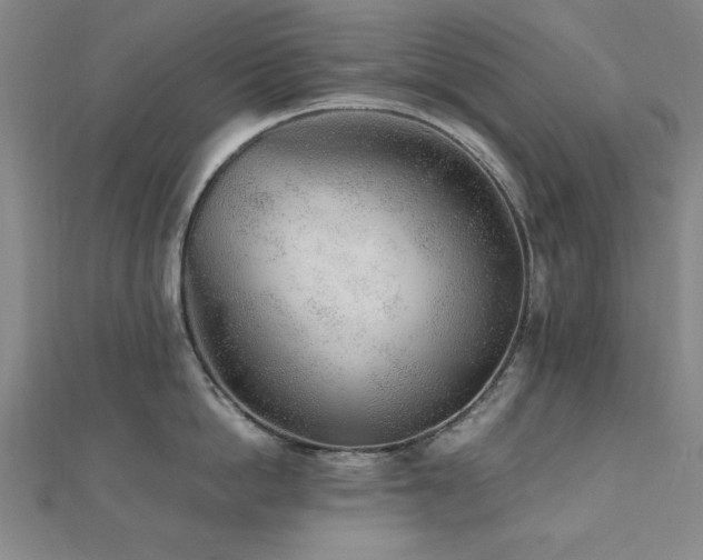 X0000112510862200908171332