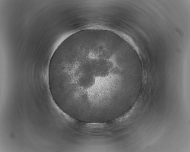 X0000112510863200908171332