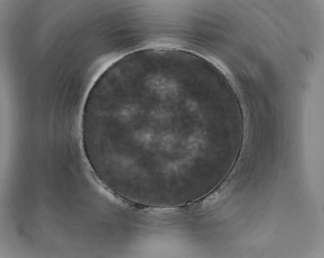 X0000112510864200908171332