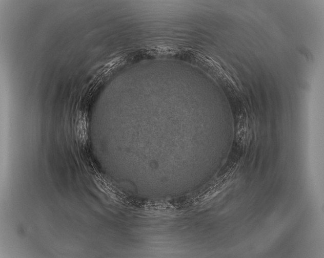 X0000112510866200908171331