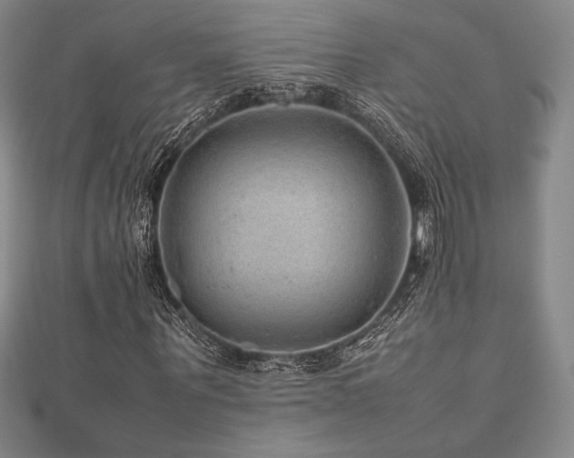 X0000112510867200908171331