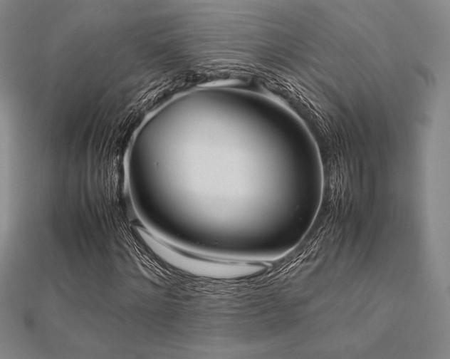 X0000112510868200908171331
