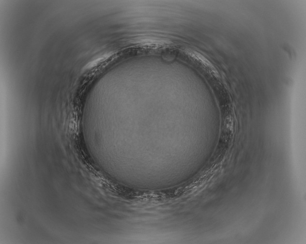 X0000112510869200908171331