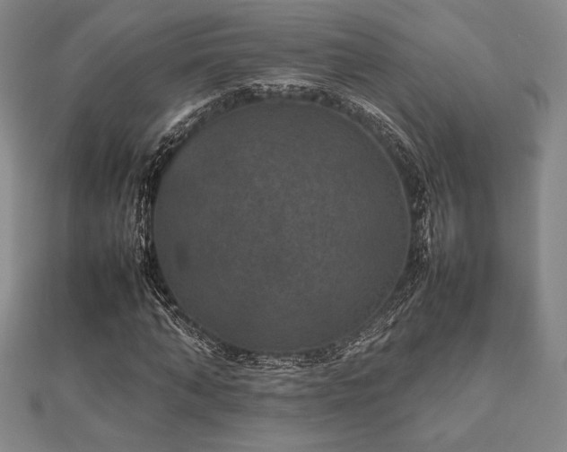 X0000112510870200908171331