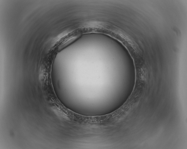 X0000112510872200908171331