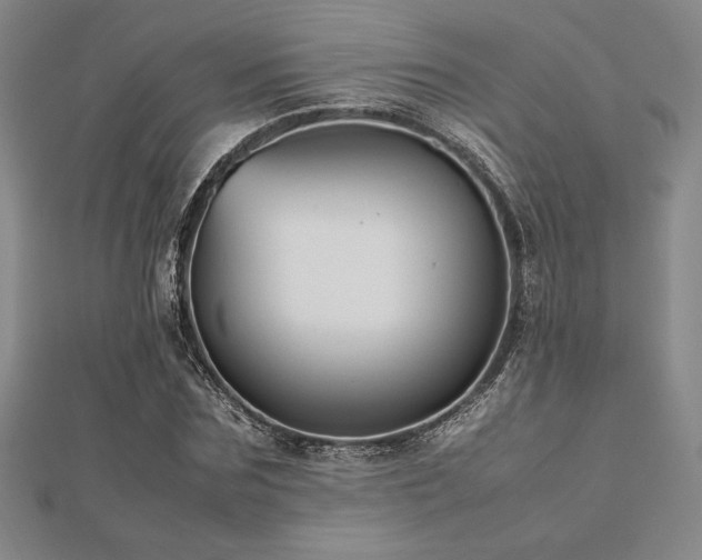 X0000112510875200908171331