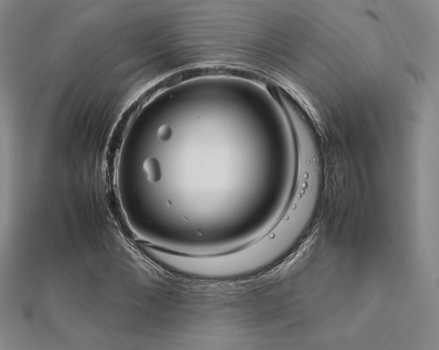 X0000112510876200908171331