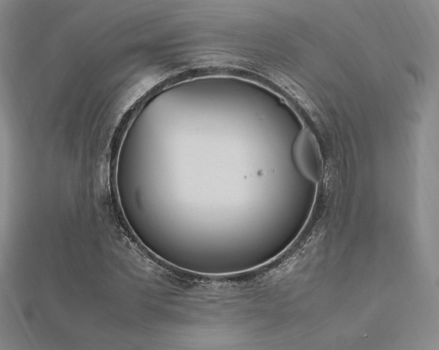 X0000112510877200908171331