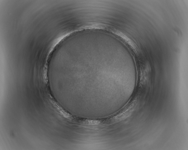 X0000112510878200908171331