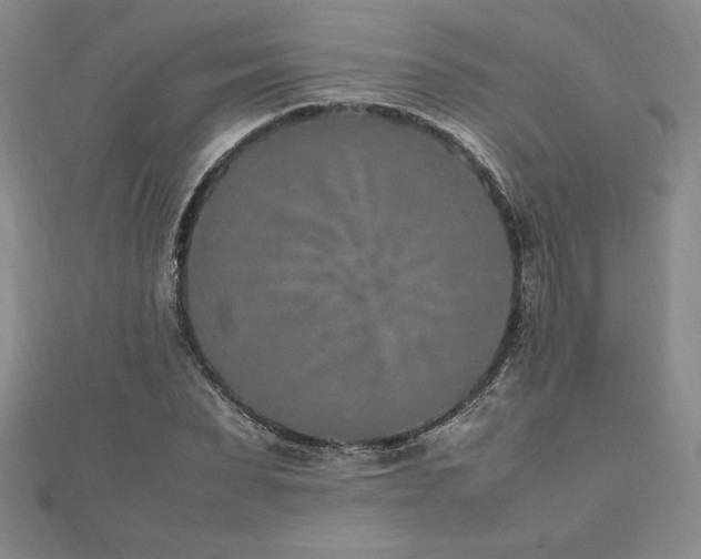 X0000112510879200908171331