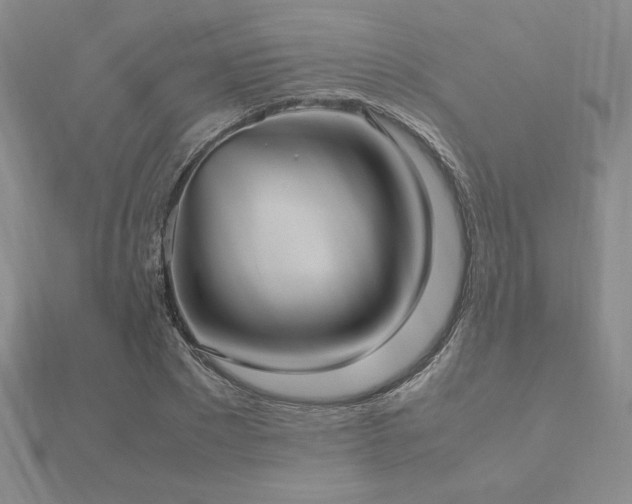 X0000112510881200908171331
