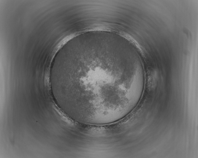 X0000112510882200908171331
