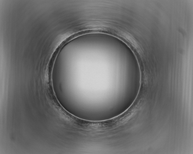 X0000112510883200908171331