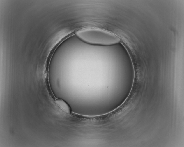 X0000112510885200908171331