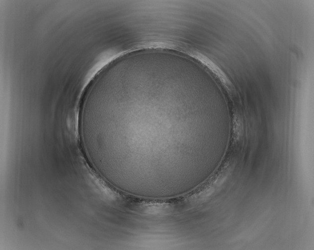 X0000112510886200908171331