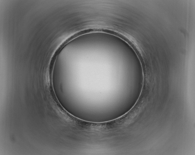 X0000112510887200908171331