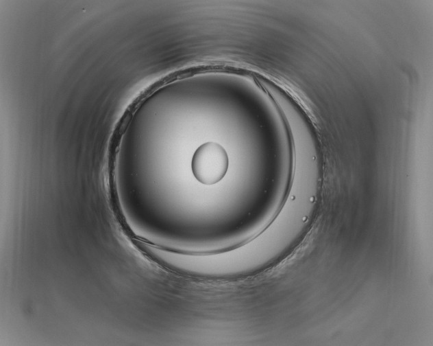 X0000112510888200908171331