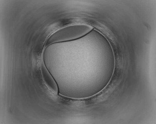 X0000112510889200908171331