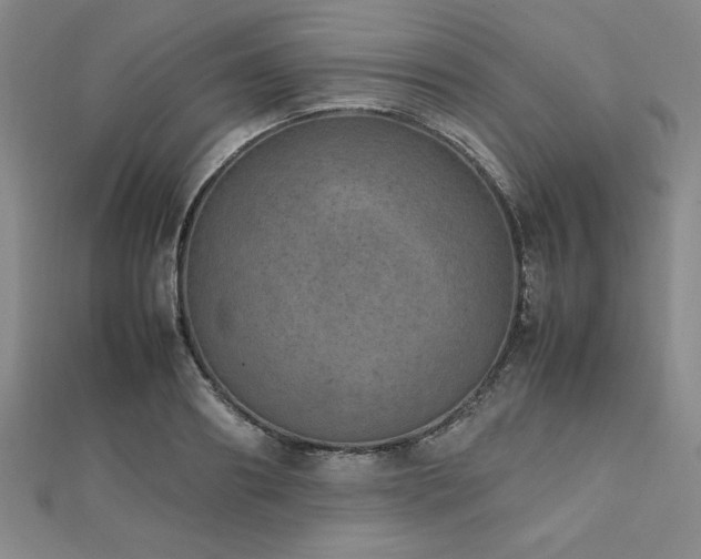 X0000112510890200908171331