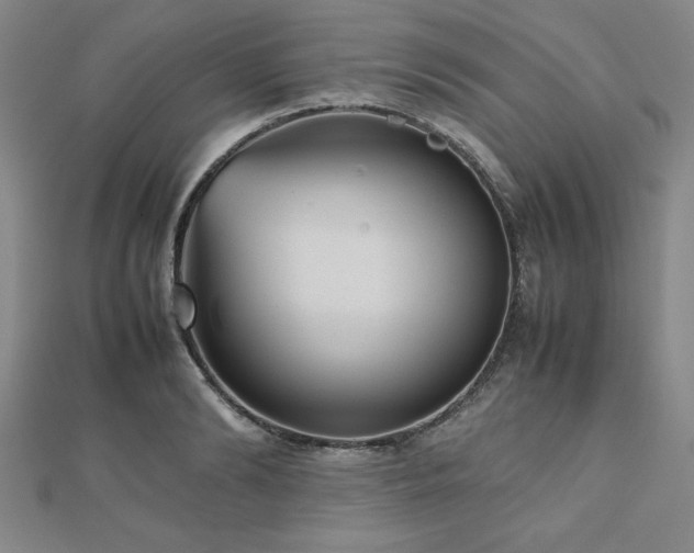 X0000112510894200908171331