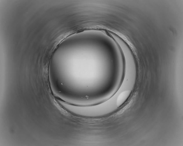 X0000112510897200908171331