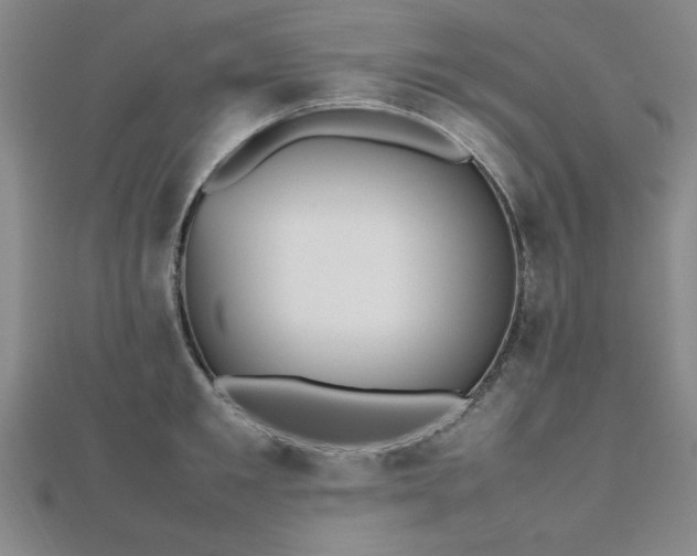 X0000112510901200908171331