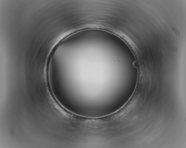 X0000112510902200908171331