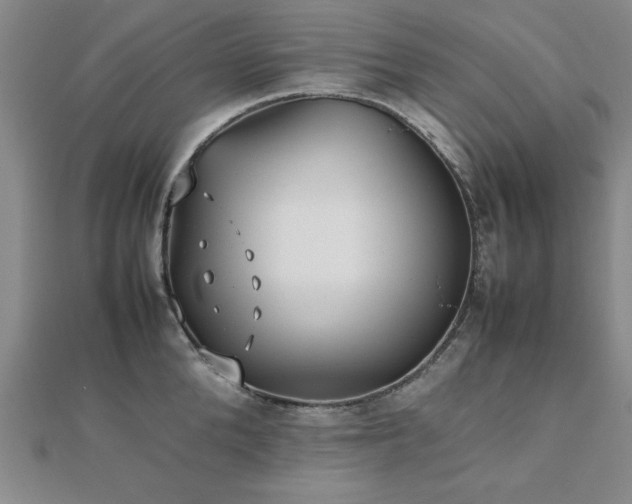 X0000112510904200908171331