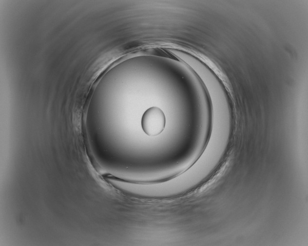 X0000112510905200908171331