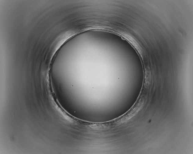 X0000112510906200908171331