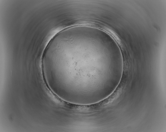 X0000112510907200908171331
