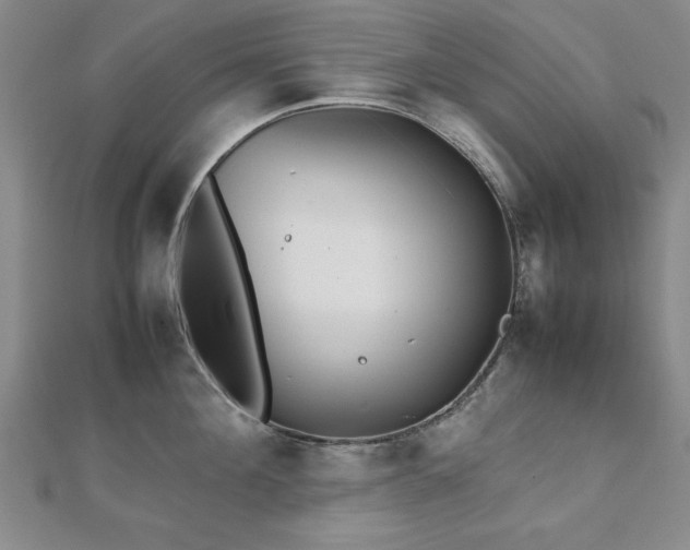 X0000112510908200908171331