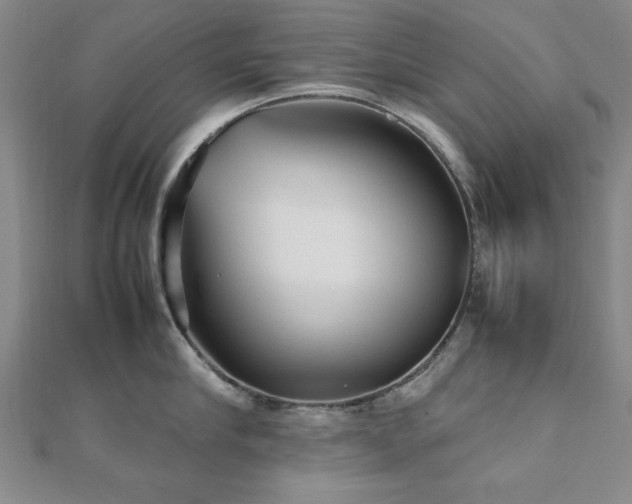 X0000112510910200908171331