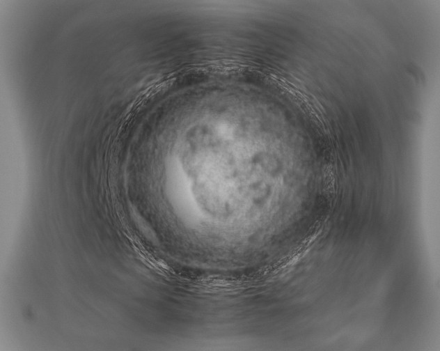 X0000112510913200908171330