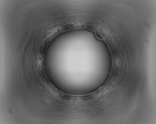 X0000112510914200908171330