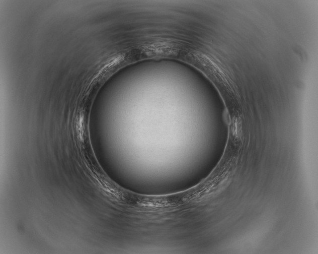 X0000112510915200908171330