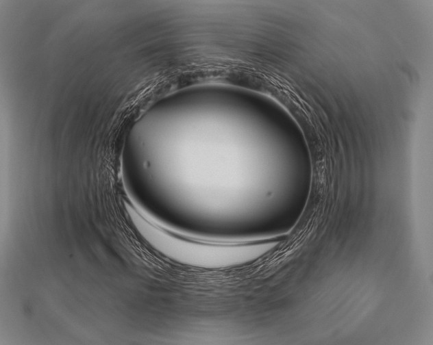 X0000112510916200908171330