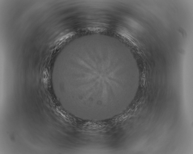 X0000112510917200908171330