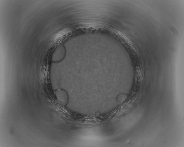 X0000112510918200908171330