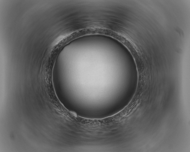 X0000112510919200908171330