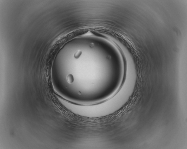 X0000112510920200908171330