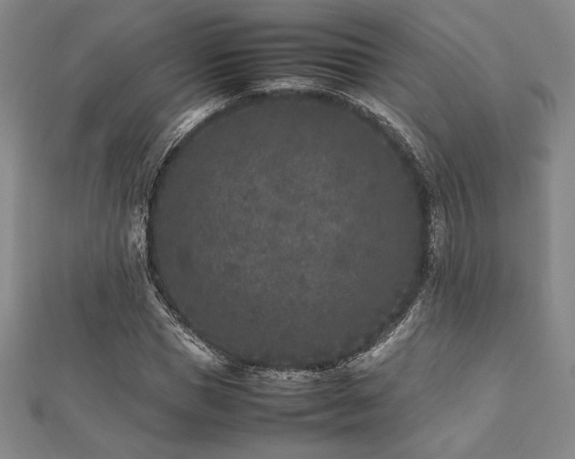 X0000112510921200908171330