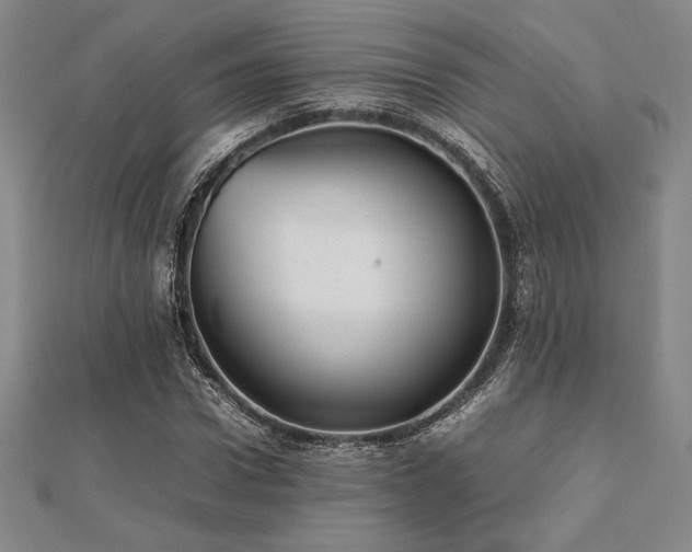 X0000112510922200908171330