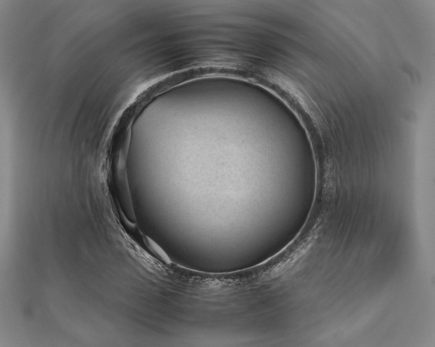 X0000112510923200908171330