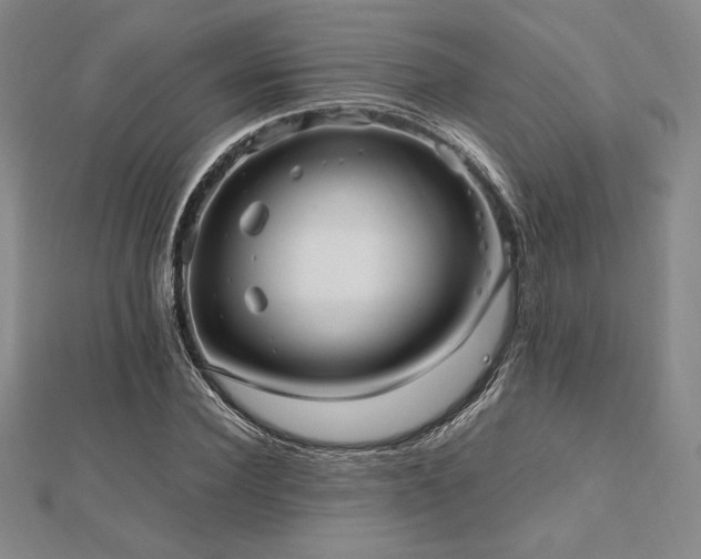 X0000112510924200908171330